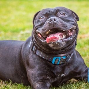 Meet your Posher, Cody